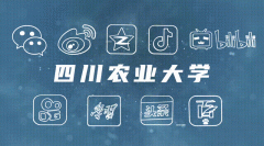 正在闲暇时间里摸索趣的