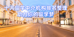 入调查中介正在方针专业范畴的文书功底取成功